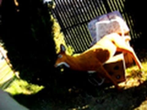 Tweeker House Raid | National Geographic thumbnail