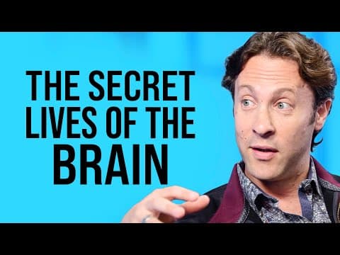 The New Structure of Infinite Possibility  | David Eagleman on Impact Theory thumbnail