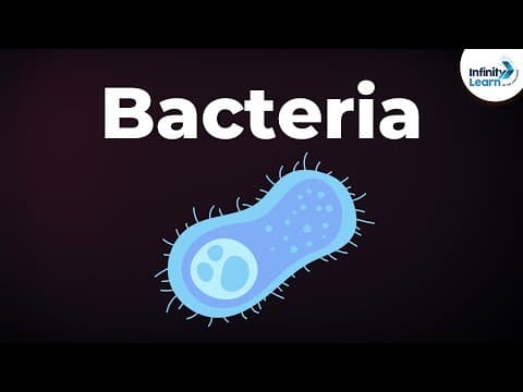 Introduction to Bacteria | Microorganisms | Biology | Don't Memorise thumbnail