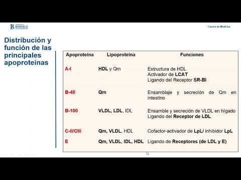 Metabolismo de lipoproteínas thumbnail