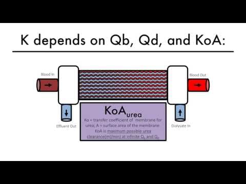 Hemodialysis Kinetics 101 06 What is Kt/V thumbnail