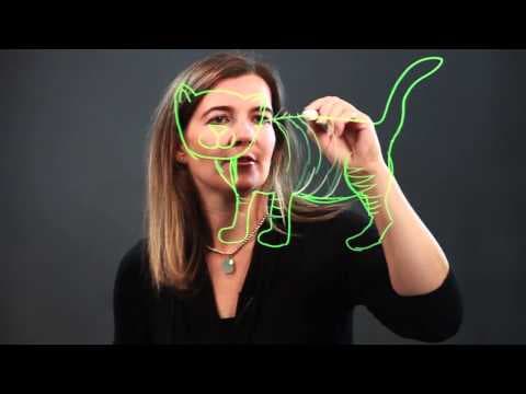 How to Draw a Cat in 3D thumbnail