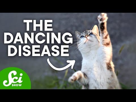 The 'Dancing Cat' Disaster of Japan | Minamata Explained thumbnail