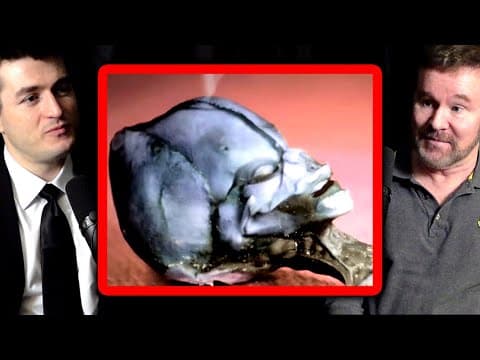 Truth about Atacama Alien skeleton | Garry Nolan and Lex Fridman thumbnail