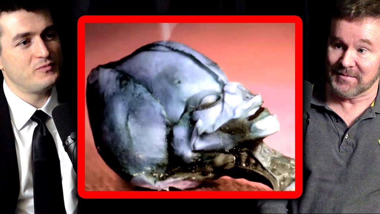 YouTube video player