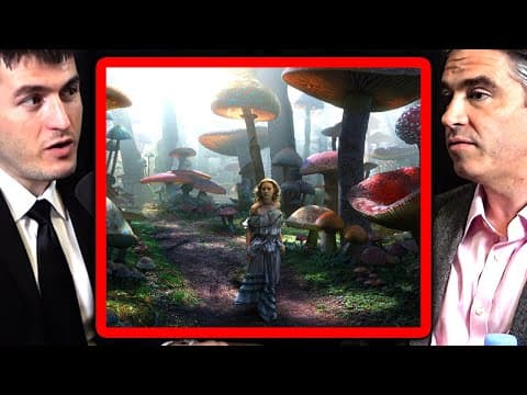 What is imagination? | Sara Walker and Lee Cronin and Lex Fridman thumbnail