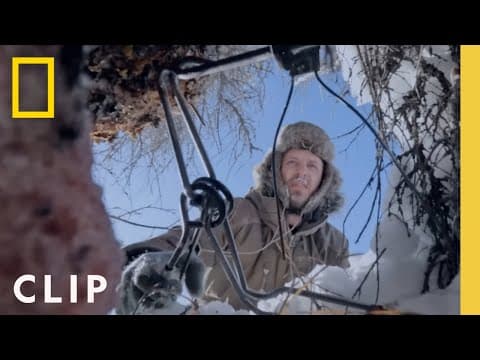 Traps on the Land (Clip) | Alaska: The Next Generation thumbnail