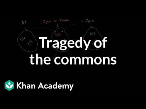 Tragedy of the commons | Consumer and producer surplus | Microeconomics | Khan Academy thumbnail