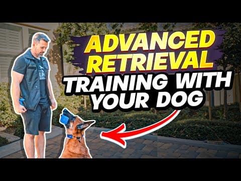 The Ultimate High Jump Retrieve Training for Your Dog thumbnail