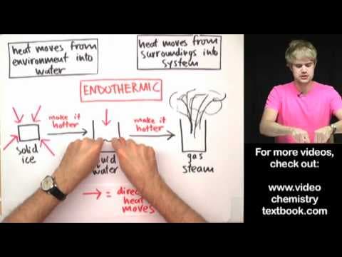 What Are Endothermic and Exothermic Phase Changes? thumbnail