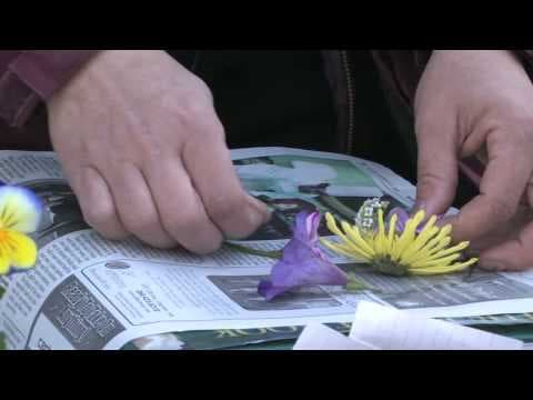 Gardening Tips : Tips for Scrapbooking Flowers thumbnail