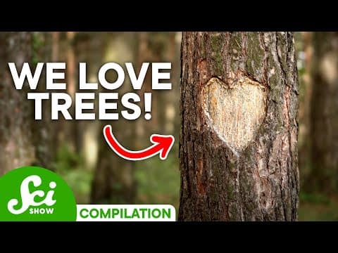 What You Never Knew About Trees | SciShow Compilation thumbnail