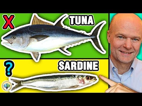 Top 5 Best Fish You Should NEVER Eat & 5 Fish You Must Eat thumbnail