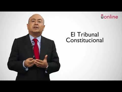 ¿Cómo se organiza el poder constitucional español? thumbnail