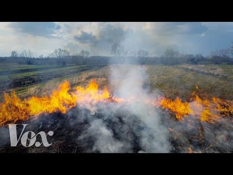 How decades of stopping forest fires made them worse thumbnail