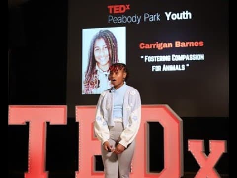 Fostering Compassion: Animals, Abandonment, and Unity | Carrigan Barnes | TEDxPeabody Park Youth thumbnail