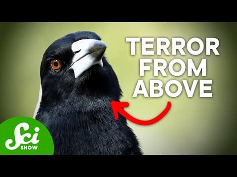 The 7 Scariest Creatures in Australia That You Probably Don't Know About thumbnail