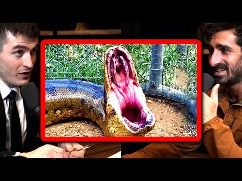 The Discovery Channel drama about Anaconda eating a man alive | Paul Rosolie and Lex Fridman thumbnail
