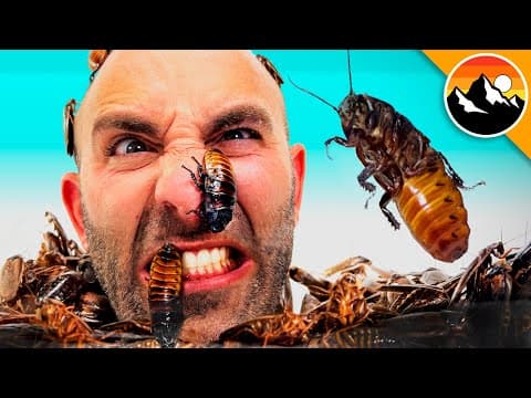 How Can Exposure Therapy Help Overcome Fear of Cockroaches? thumbnail