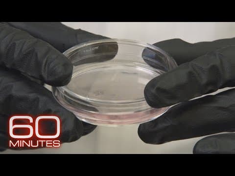 The complicated ethics of genetic engineering thumbnail