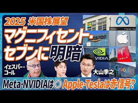 【テスラ&アップル株は赤信号？】そこまで言う？エコノミスト2人が明言。2025年注目の米国株セクター『金融&住宅に注目』／マグニフィセント・セブン比較検証(MONEY SKILL SET EXTRA) thumbnail