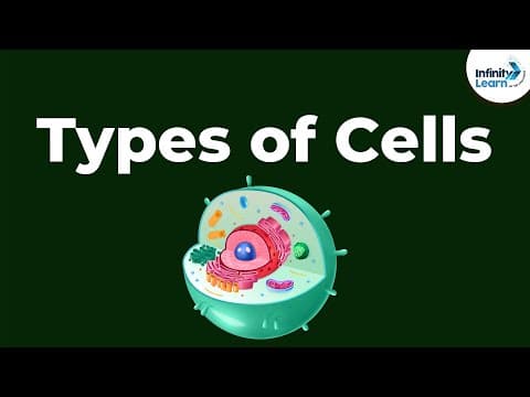Types of Cells | Don't Memorise thumbnail