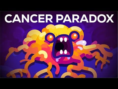 Why Blue Whales Don't Get Cancer - Peto's Paradox thumbnail