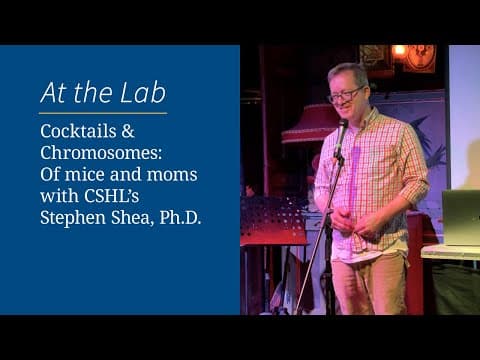 How Do Mice Parents Differ in Caring for Pups? thumbnail