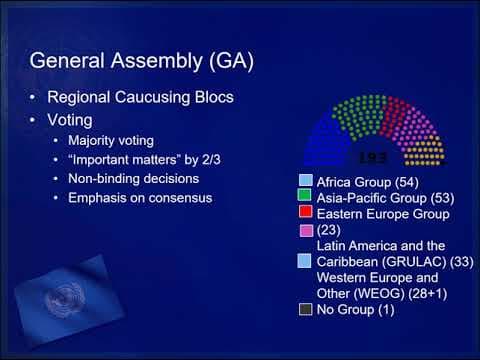 United Nations Institutional Structure thumbnail