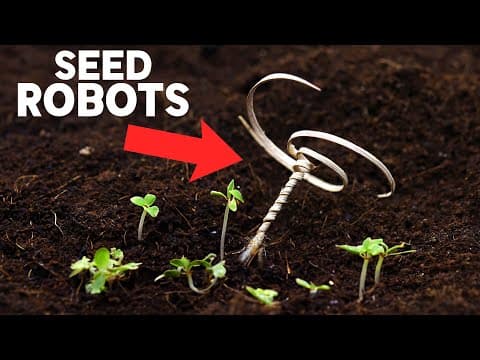 This tiny device could reforest the entire planet thumbnail