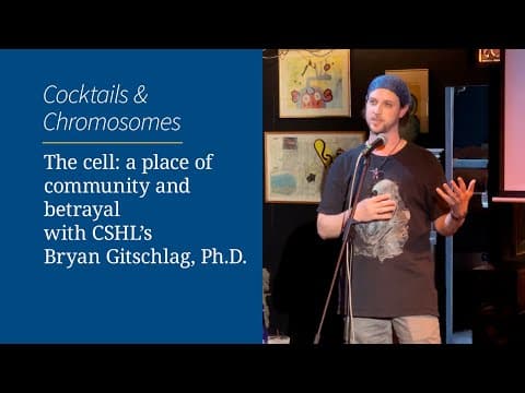 How Does Biological Complexity Arise and Evolve? thumbnail