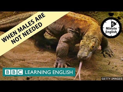 When males are not needed - 6 Minute English thumbnail