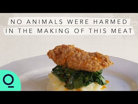 How Does Lab-Grown Meat Work and Its Benefits? thumbnail