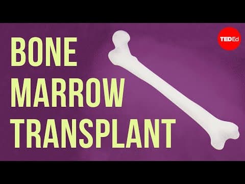 How Do Bones Produce Blood Cells and Why Is It Important? thumbnail
