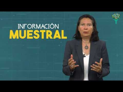 ¿Cómo entender la econometría y la regresión lineal? thumbnail
