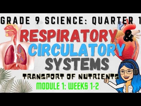 Respiratory and Circulatory Systems | Grade 9 Science Quarter 1 Lesson thumbnail