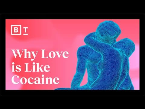 What Is the Science Behind Love and Attraction? thumbnail