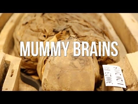Mummy Brains thumbnail