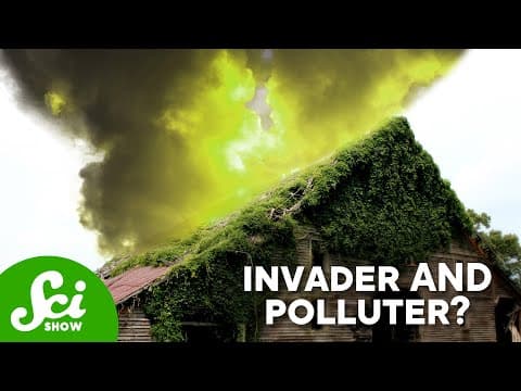 Kudzu: So Bad It Even Makes the Air Worse! thumbnail