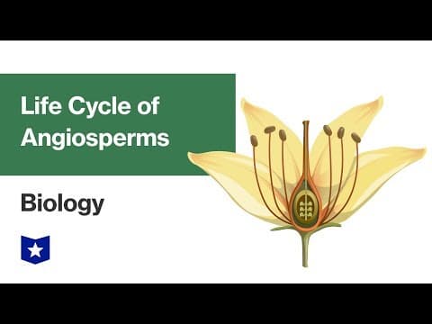 Life Cycle of Angiosperms | Biology thumbnail