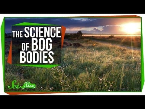 Chemistry & Corpses: The Science of Bog Bodies thumbnail