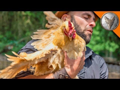 What Makes Doe Bay Resort and Retreat Unique? thumbnail