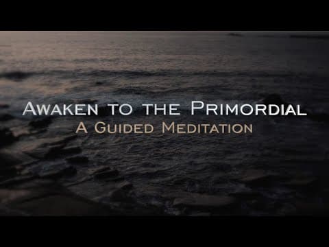 Awaken to the Primordial - A Guided Meditation with PhilosophiCat and Xurious thumbnail
