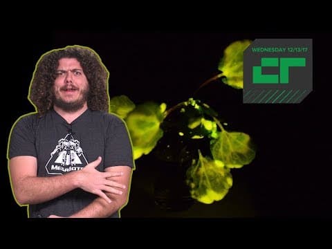 Glow-in-the-Dark Plants | Crunch Report thumbnail