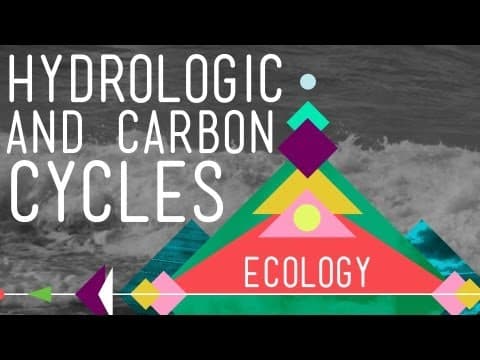 What Are the Hydrologic and Carbon Cycles? thumbnail