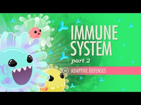 What Is the Adaptive Immune System and How Does It Work? thumbnail
