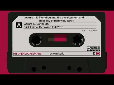 Lec12: Evolution and the development and plasticity of behavior, part 1 thumbnail