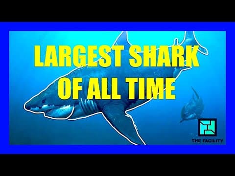 What Made MEGALODON So Huge? | [OFFICE HOURS] Podcast #025 thumbnail
