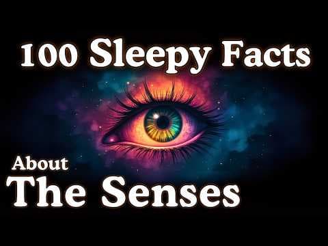 The Most Relaxing Facts About The Senses to Fall Asleep To thumbnail