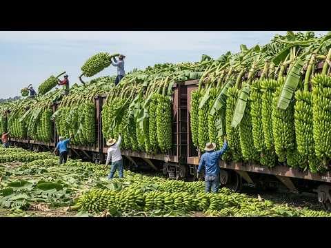 Most Impressive Farming Machines – 31 Harvest Giants Feeding the World in 2025 thumbnail